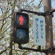 めの画像
