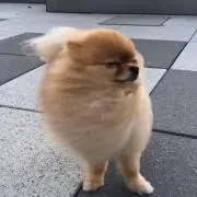 s_u.