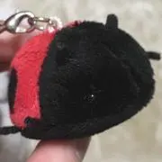 うるくの画像