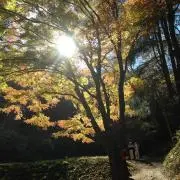 ma_ruの画像