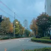 きょんの画像