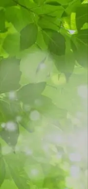 のど飴※プロフ必読※の画像