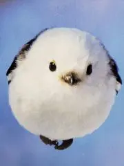 けそ　(プロフもご一読ください)の画像