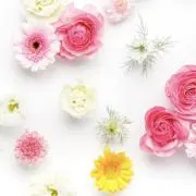 くの　【おまとめ割　相談可能】の画像