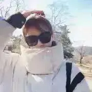 ねこちゃんの画像