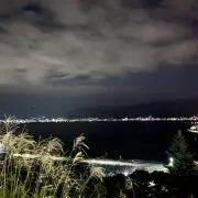 むむの画像