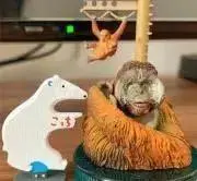 はっぱの画像