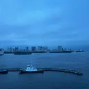 fdの画像