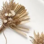 anu.