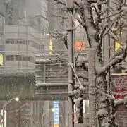 ゆうは
