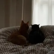 Eの画像