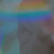 夜の画像