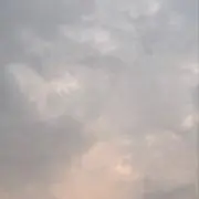 プルの画像