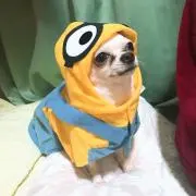 のどかの画像