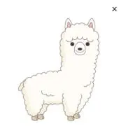 チワワの画像