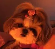 つるもっくん☆の画像