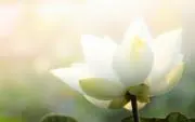 mokurenの画像