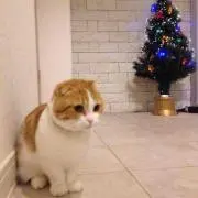 えぽ