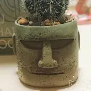 suu