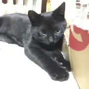 たまさんの画像