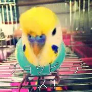 ともちえ