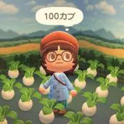 mcの画像