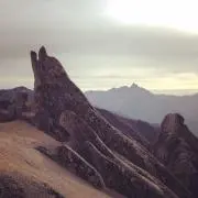 matsudaの画像