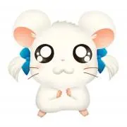 にゃこの画像