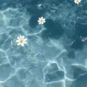 soraの画像