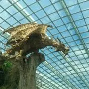 咲の画像