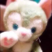 chocoの画像