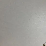 たいよう