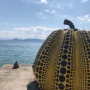 ののの画像