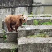 Rickeyの画像