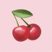きんちゃんの画像