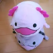 Peepの画像