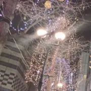yuuiの画像