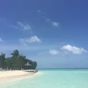MKの画像