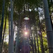 たけし⭐️状態良&即日発送⭐️の画像