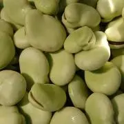 Image of soramame