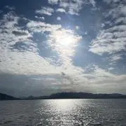 大阪の画像