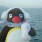 ぴんぐうの画像