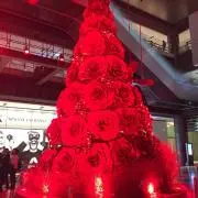 yuciの画像