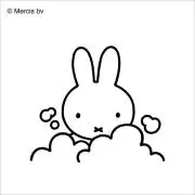 SANIの画像