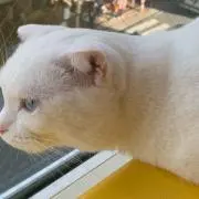 麻由★プロフ参照ください★の画像