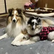 ゆうだいママ