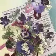 やまちゃんの画像