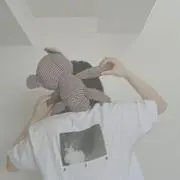 紡の画像