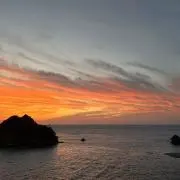 Ozizousanの画像