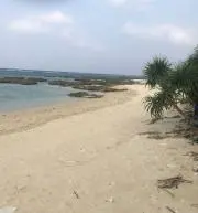 tamiの画像